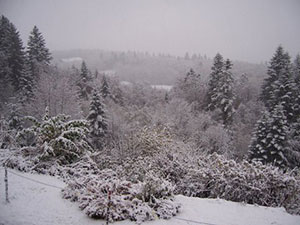 first-snow-nov16