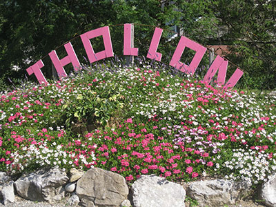 thollon-in-flower-13