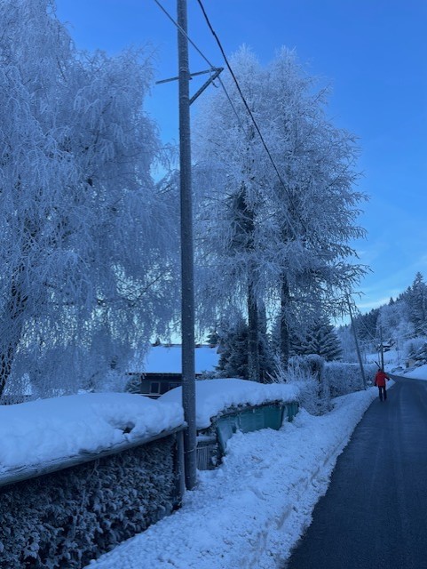 village in snow