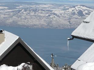 winter lake view